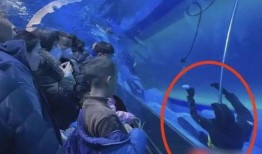 枫丹潜水员爆料视频,水下世界奇观首次曝光